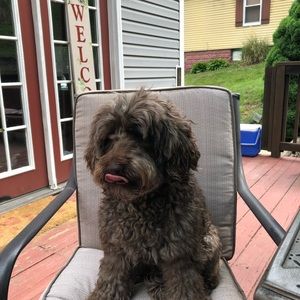 Meet your Posher, Carrie